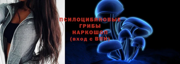 PSILOCYBIN Дмитров