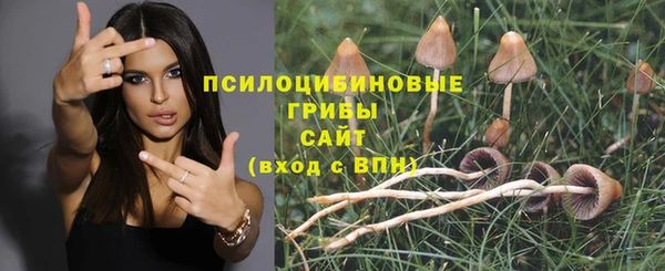 MDMA Premium VHQ Осинники