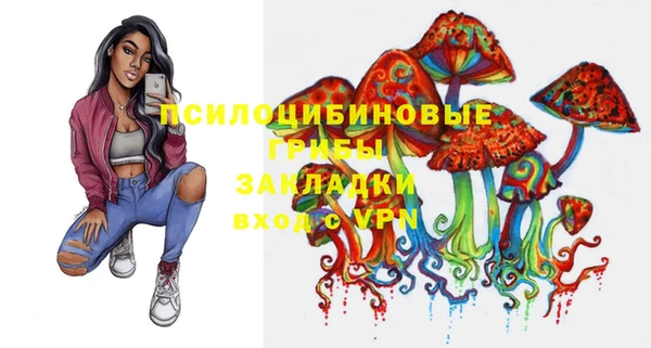 PSILOCYBIN Дмитров