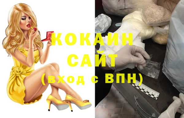 дживик Дмитриев