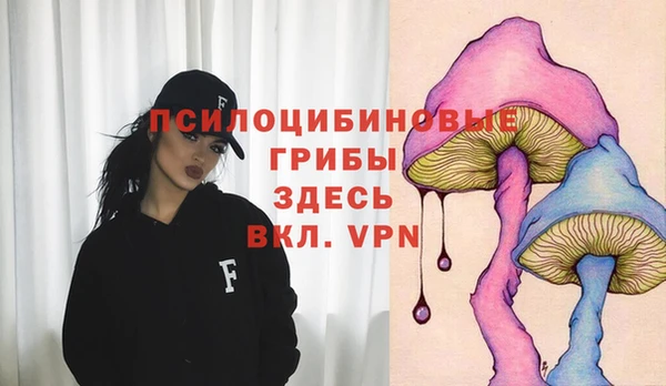 дживик Дмитриев