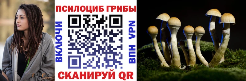 Псилоцибиновые грибы прущие грибы  где найти   ссылка на мегу   Зеленоградск 